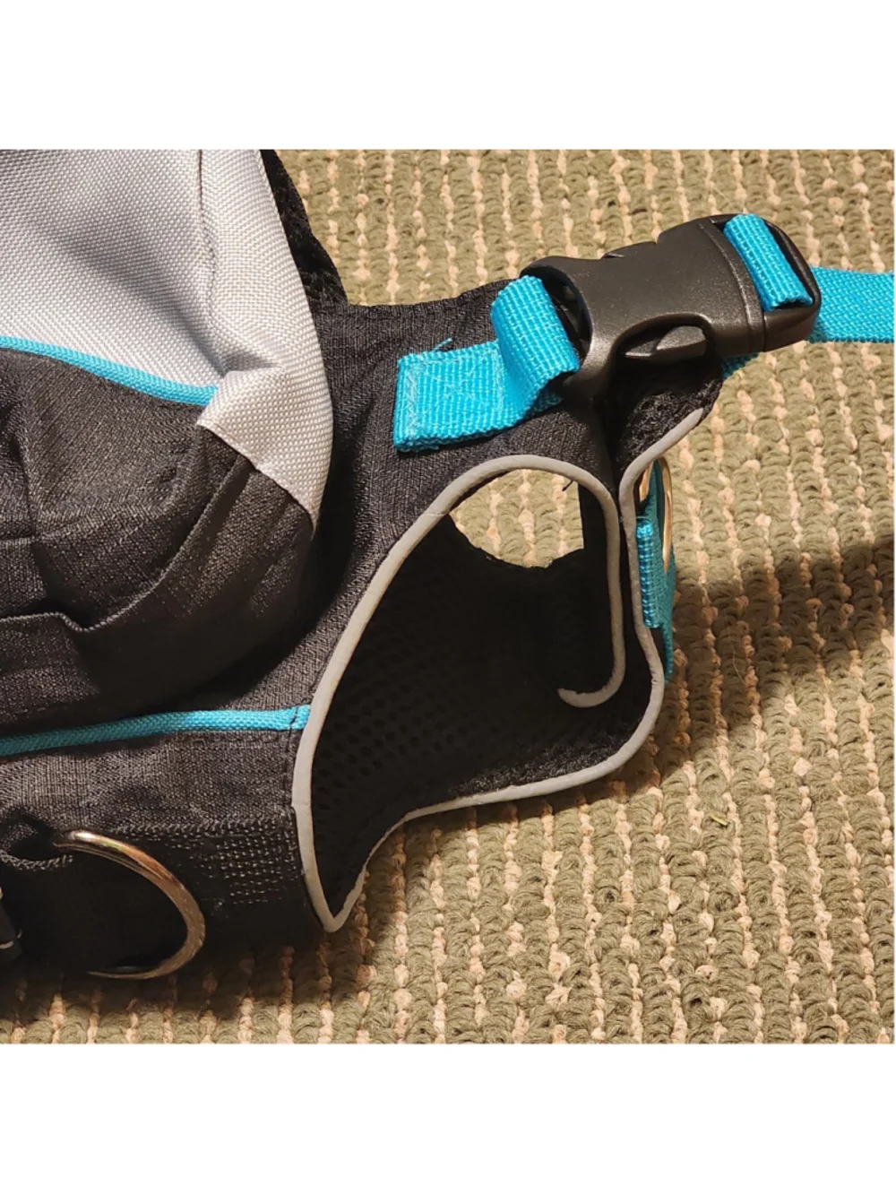 ZippyPaws Adventure Backpack for Dogs Small Size Grey Blue